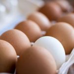 egg.medium 1