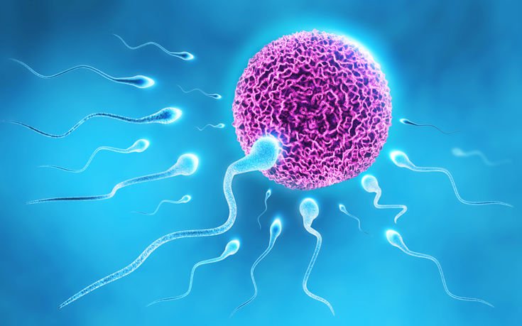 shutterstock251244184