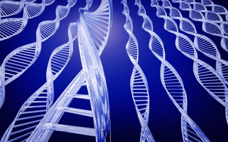 Νέες προοπτικές στη γονιδιακή θεραπεία 4 genes determines