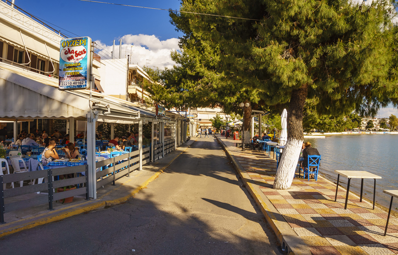 Νέα Αρτάκη, η δεύτερη μεγαλύτερη πόλη της Εύβοιας 12 shutterstock 413434825