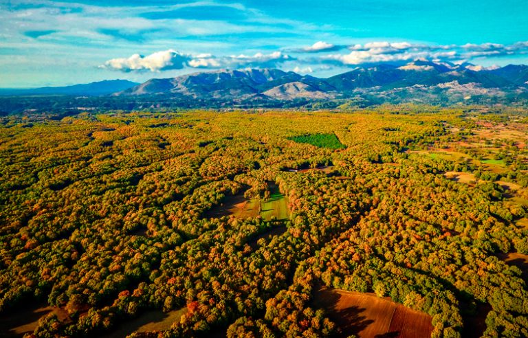 Το δρυόδασος της Φολόης, η μυθολογική κατοικία των Κενταύρων
