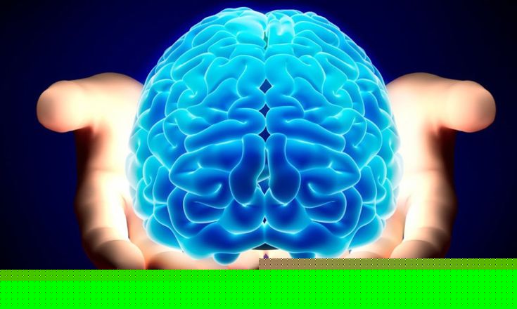 brain