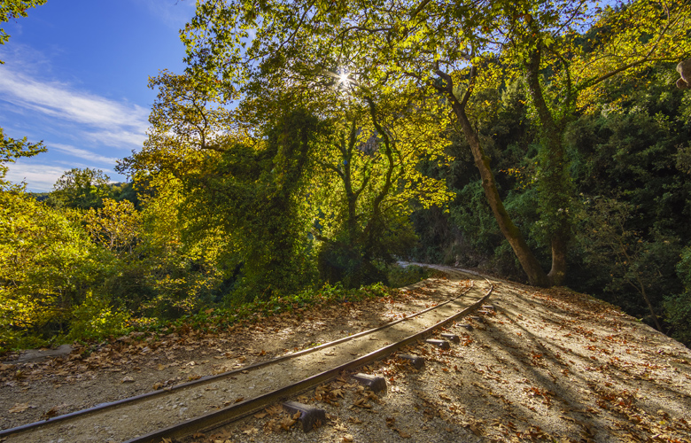 shutterstock 501179308