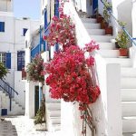 sav mykonos 2