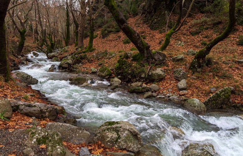 Δίρφη, το ψηλότερο βουνό της Εύβοιας 13 34z5yns1