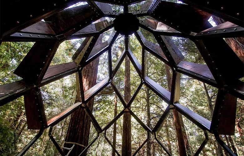 5treehouseNEWSmesa2