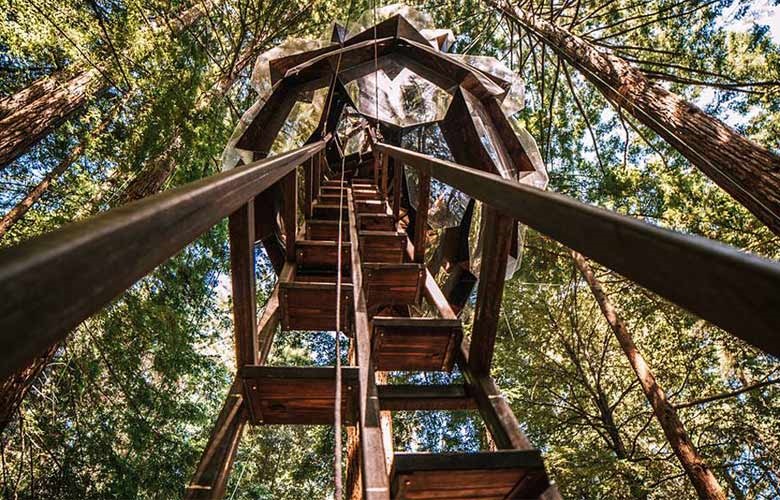 5treehouseNEWSmesa4