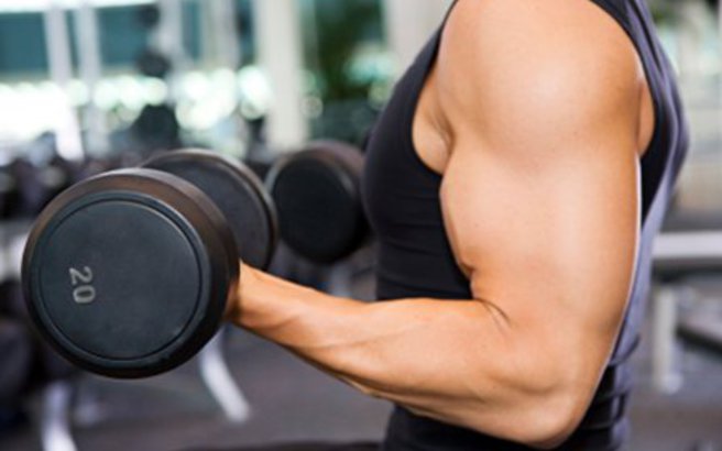 weights.medium