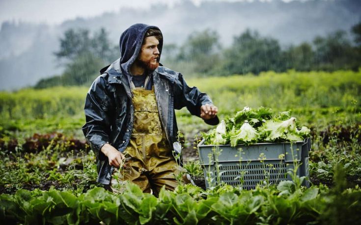 Νερό με νανοφυσαλίδες ποτίζει κατά 40% μεγαλύτερη επιφάνεια καλλιέργειας 4 CEBDCEADCEBFCEB9 CEB1CEB3CF81CF8CCF84CEB5CF82