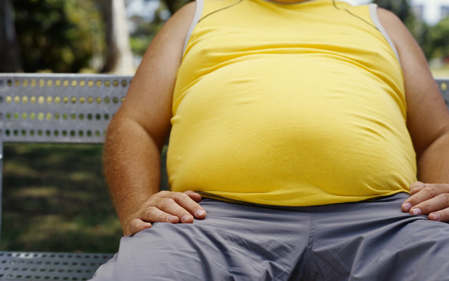 obesity epidemic.medium