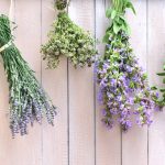 shutterstock 1449522821