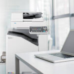 riso article newsbeast