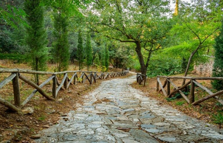 Πέντε μέρη της Αττικής ιδανικά για χαλαρή βόλτα στη φύση – News.gr