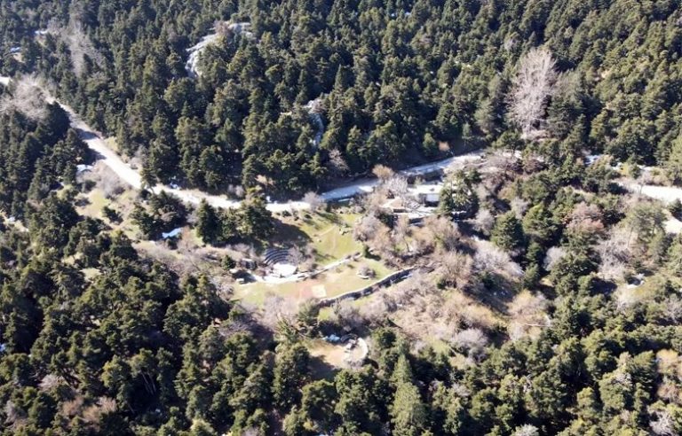 Το ελατοδάσος δίπλα στην Αθήνα που αποτελεί μία αληθινή όαση – News.gr