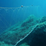 shutterstock seabottom spain
