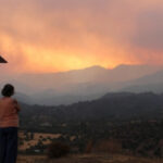 cyprus fire ape