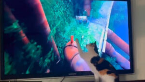 Stray: To βιντεοπαιχνίδι για τις γάτες που λατρεύουν τα ίδια τα τετράποδα!