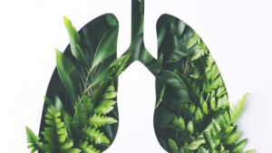 «Πνευμόνων Υγεία»: Το πρόγραμμα που σώζει ζωές