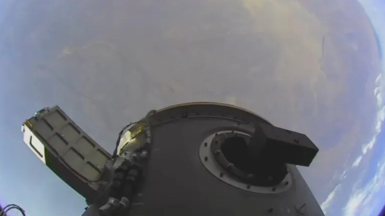 1 lsf flying picobus microsatellite