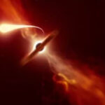 star spage.webp1