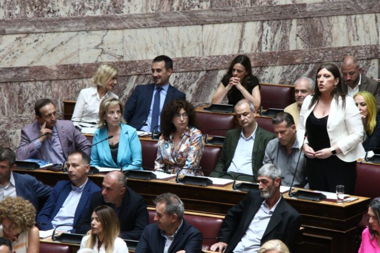 Δέχθηκα bullying- Ανησυχητικό για την κυβέρνηση που η Πλεύση Ελευθερίας είναι στη Βουλή