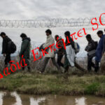 Η Δαδιά εκπέμπει SOS