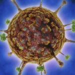 microscopic view of henipavirus