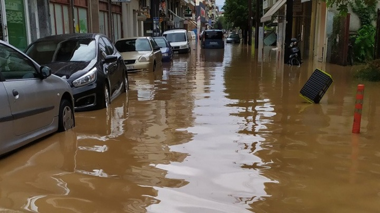 plimmyres ampe 123046karditsa1 0