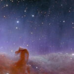 horsehead