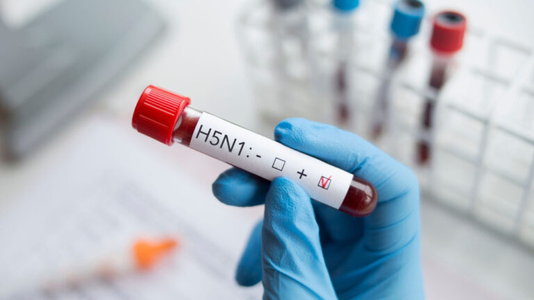 H5N1: «Tεράστια ανησυχία» για την μετάδοση της γρίπης των πτηνών στους ανθρώπους