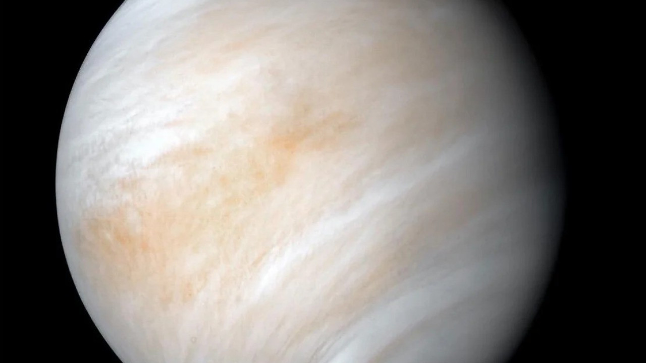 afroditi nasa foto