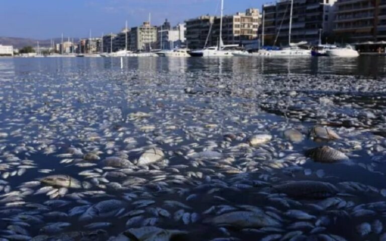 Στη δικαιοσύνη προσφεύγει η Ένωση Ξενοδόχων Μαγνησίας για τα νεκρά ψάρια στον Παγασητικό