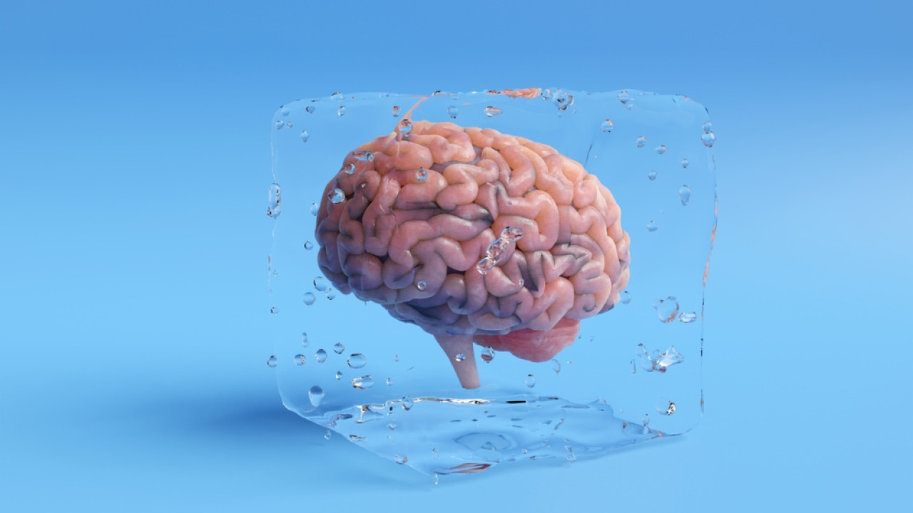 shutterstock pagoma egkefalou