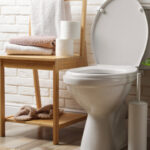 shutterstock toilet