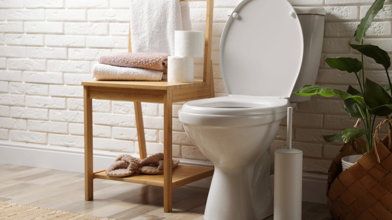 shutterstock toilet