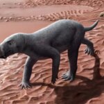 gorgonopsia