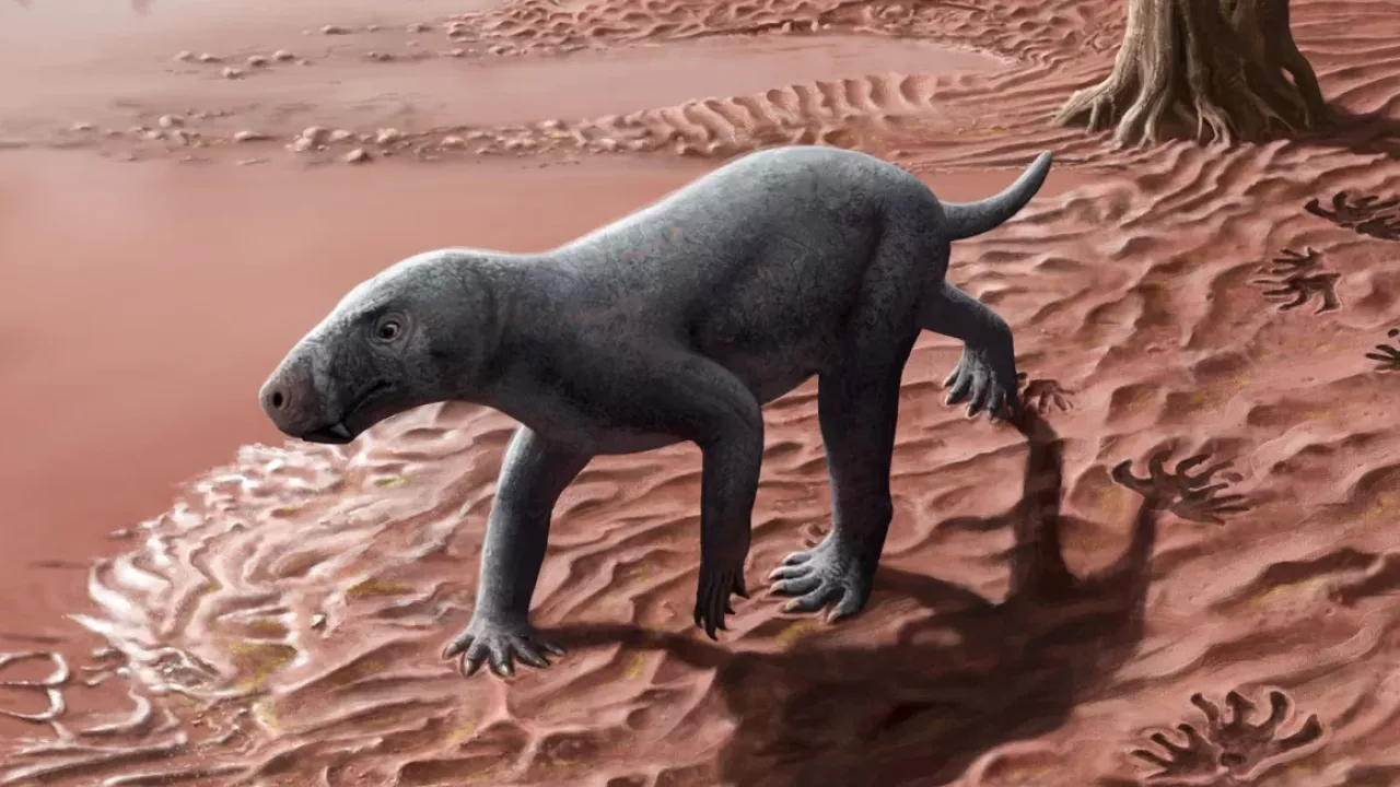 gorgonopsia
