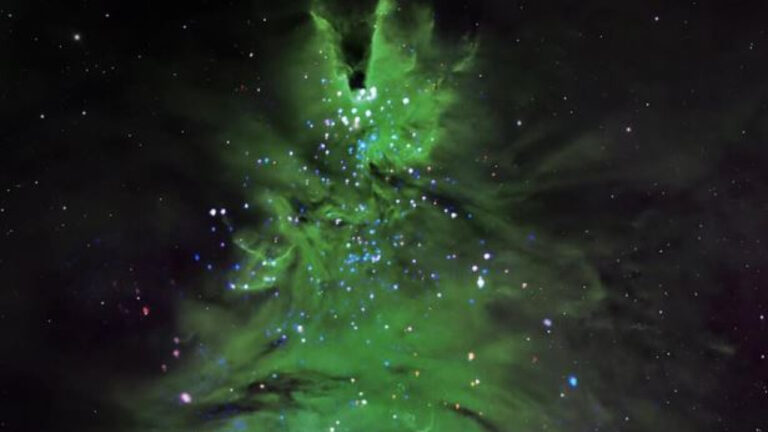 «Δώρο» από τη NASA: Αστέρια σχηματίζουν ένα χριστουγεννιάτικο δέντρο 