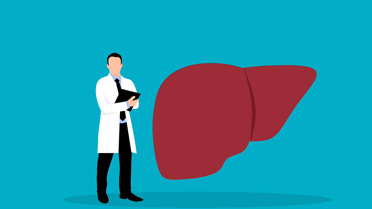 liver