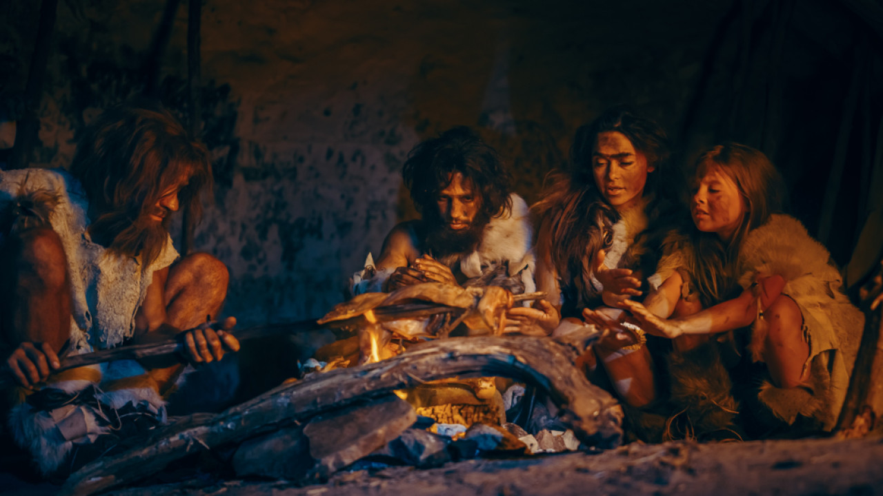 shutterstock homo sapiens family