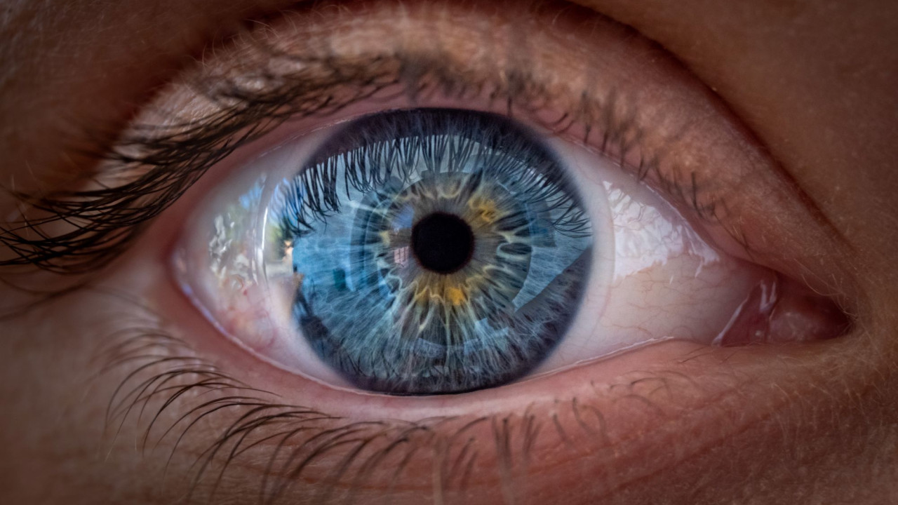 shutterstock mati eye
