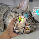 shutterstock ai gata 54c05e