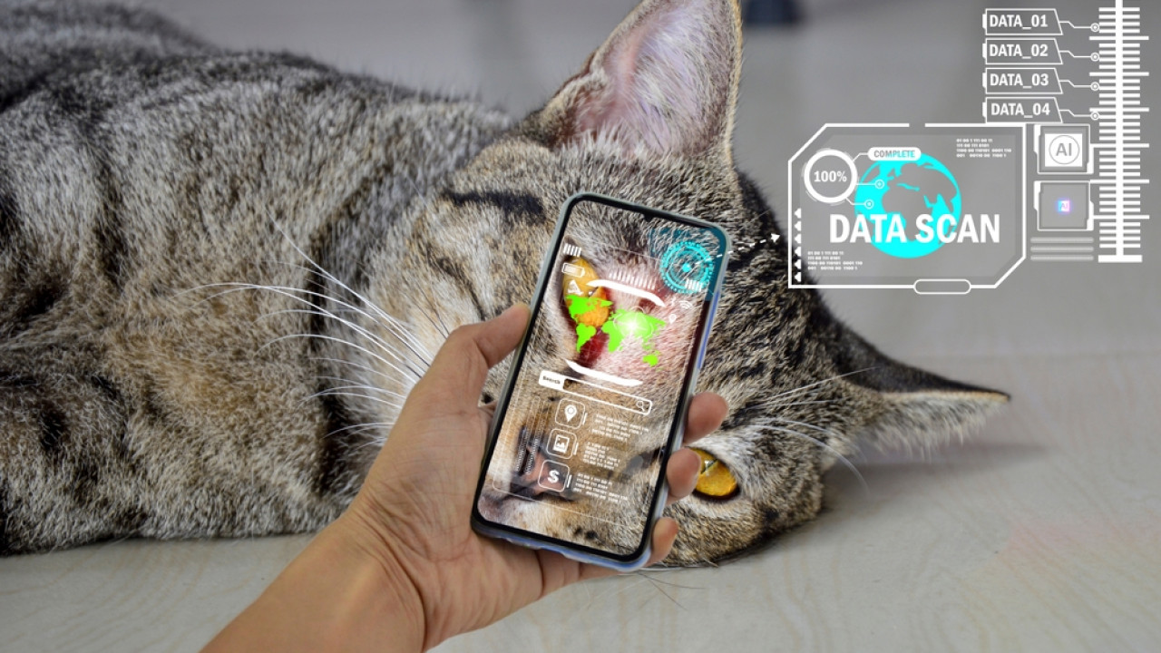shutterstock ai gata 54c05e