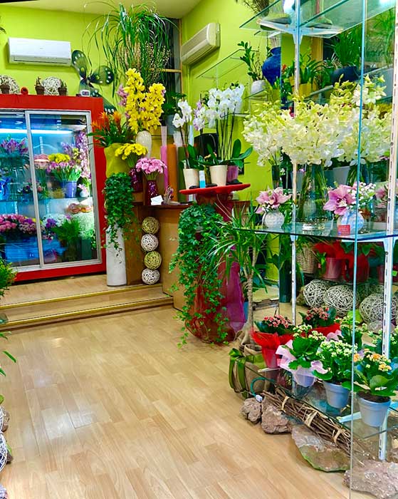 Ανθοπωλείο Αθήνα & Ανθοπωλεία 2 ΑΝΘΟΠΩΛΕΙΑ-ΑΘΗΝΑ-3