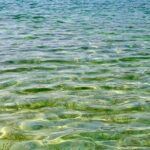 Χαλκιδική: Παραλίες & Tours
